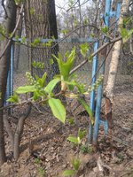 2015-04-27 12.59.37.jpg