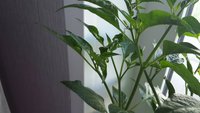 20150505_084422.jpg