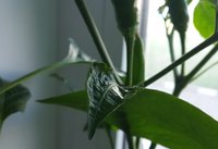 20150505_084443.jpg