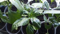 20150505_084453.jpg