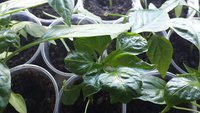 20150505_084505.jpg