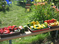 IMG_1651.jpg
