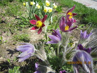 IMG_8016.JPG