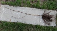 DSC00726.jpg
