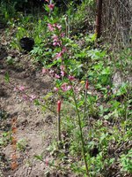 DSCN3487.JPG