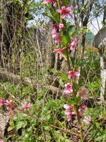 DSCN3490.JPG