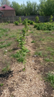 20150514_124922.png