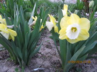 IMG_8055.JPG