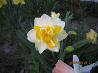 IMG_8047.JPG