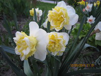 IMG_8046.JPG