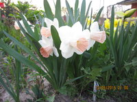 IMG_8045.JPG