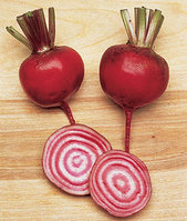 Полосатая свекла Chioggia