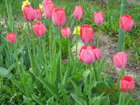 IMG_8074.JPG