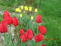 IMG_8067.JPG