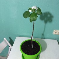 IMG_0406.JPG