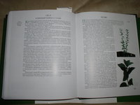 P1010004.JPG
