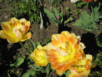 IMG_8109.JPG