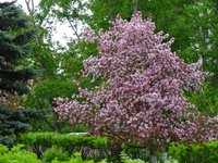 DSC00803.jpg