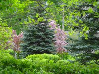DSC00787.jpg