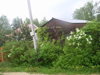 P1010002.JPG