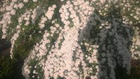 WP_20150526_022.jpg