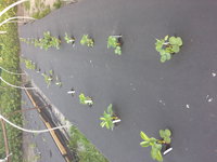 20150610_193213.jpg