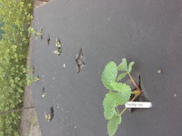 20150610_193345.jpg
