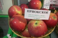 Приокское.jpg