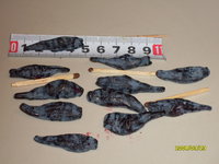 SDC13423.JPG