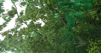 WP_20150616_12_30_49_Pro.jpg