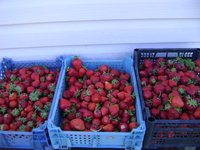 DSC01021.JPG