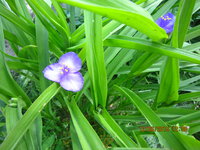 IMG_8286.JPG