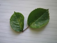 IMG_6356.jpg