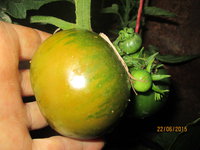 Кумато