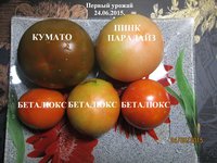 Изображение 084.jpg