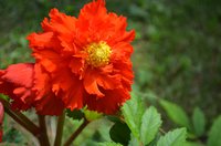 DSC_0021.JPG