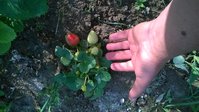 WP_20150629_030.jpg