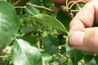 P1220144.JPG