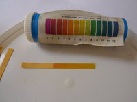 P1090500.JPG