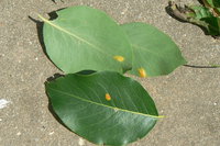 P1220177.JPG