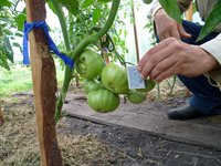 малахитовая шкатулка.jpg