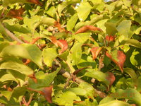 DSCN2248.JPG