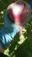 20150714_122327.jpg