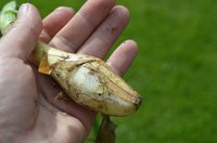 DSC_0012.JPG