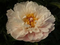 image-24-07-15-10-38-6м.jpg