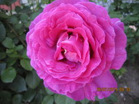 IMG_8848.JPG