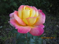 IMG_8843.JPG