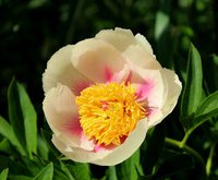 IMG_1534.JPG