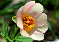 IMG_1156.JPG