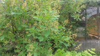 20150620_133017.jpg